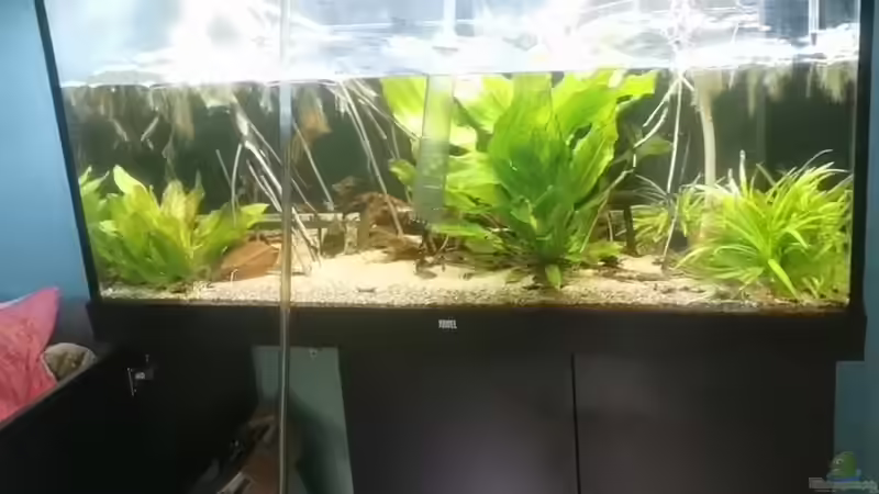 Wasserwechsel von Stevo069 (5)