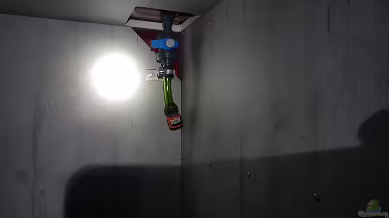 Wasserwechselfunktion von Charmin (21)