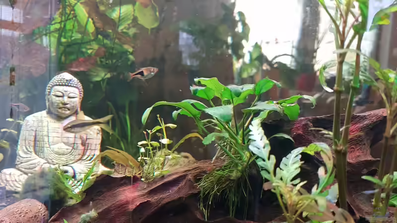 Wasserwelt Our own life has to be our message. von Manuela&Mike (7)