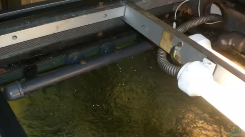 Wasserzulauf mit Oberflächenströmung von Thomas Dietrich (17)