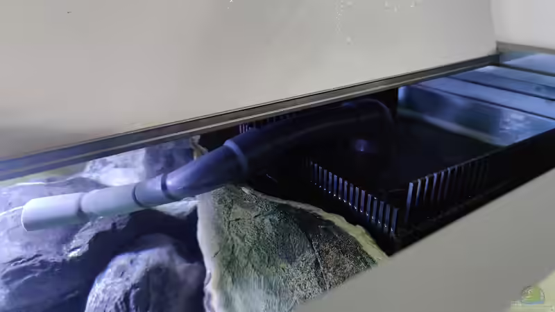 Wasserzulauf von LEDaquaristik.de (18)