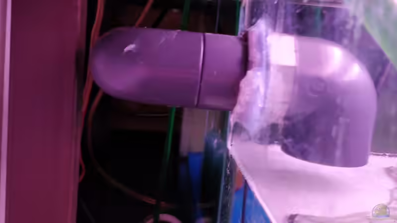 Wassserüberlauf vom Filterbecken von Woidma (75)