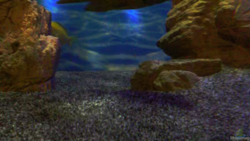 Wat willst du denn?? von Noah (31)