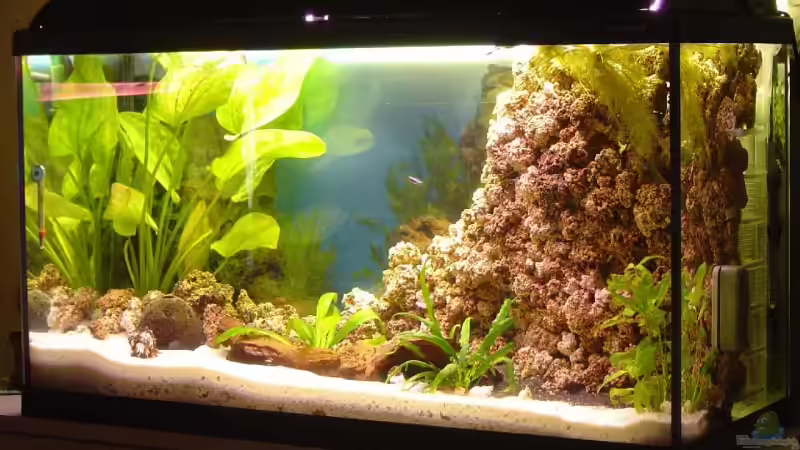 Waterhome Aquarium 200Ltr. von Thomas Kuban (1)