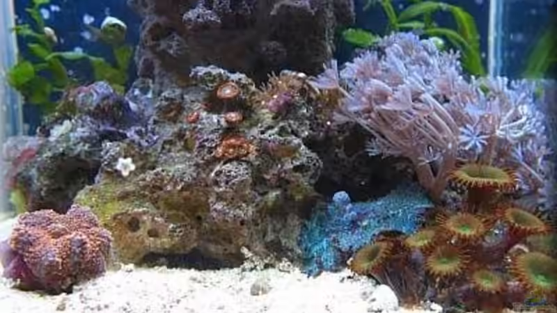 WaveCube im März 2007 von Petra Kallmeyer (3)