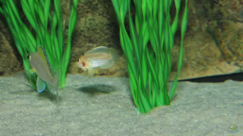 wech wech 321 meins von Lars Schnabel (21)