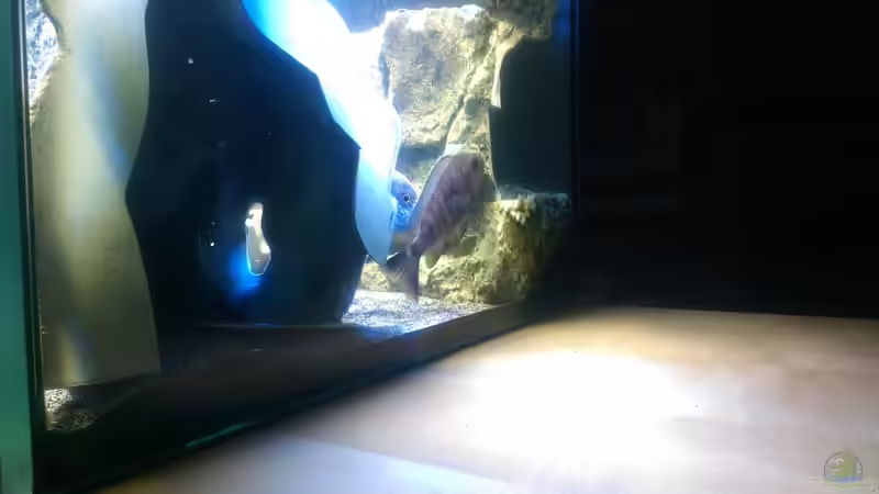 Weg hinter die Rückwand von *Malawi* (5)