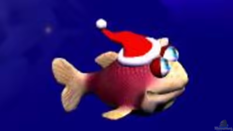 Weihnachtswünsche von Holger (@mazonas)