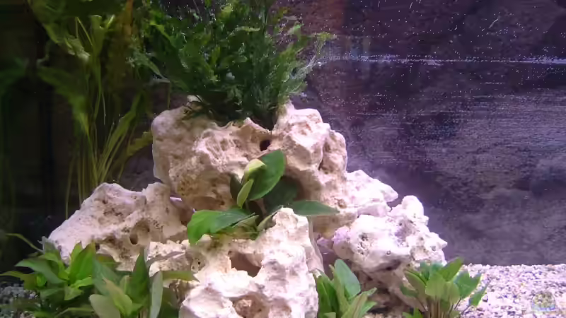 Weisser Jordanienstein von Thomas Geib (4)