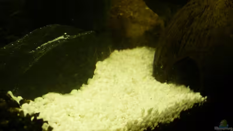 weißer Weg von Noah H. (9)