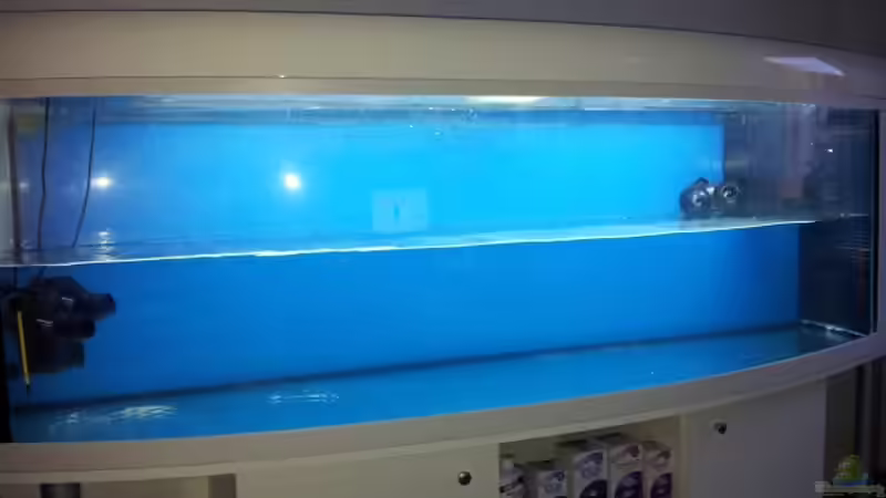 weitere 120 Liter Osmose Wasser am 16.12.12 von Christian Höse (6)