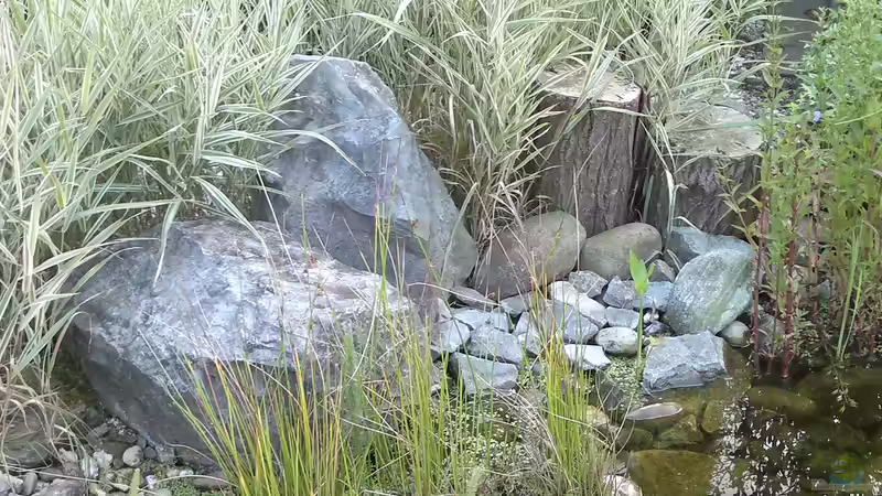 Weitere Granitbrocken, Kiesel und Totholz von Sambia (37)