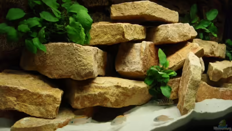 Weitere Höhlen..., 14.04.08  (nicht aktuelle Einrichtung) von Patrick Bärenfaller (13)