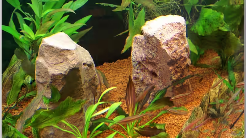 weitere Sandsteine aus der Region von Christian Zwick (23)