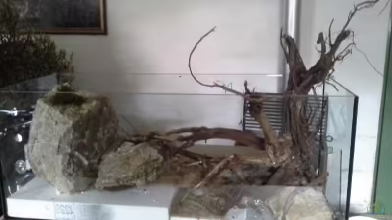 Weitere ??ste und Steine werden eingebracht. Es entstehen Spalten und Unterstände. von Markaroni (47)