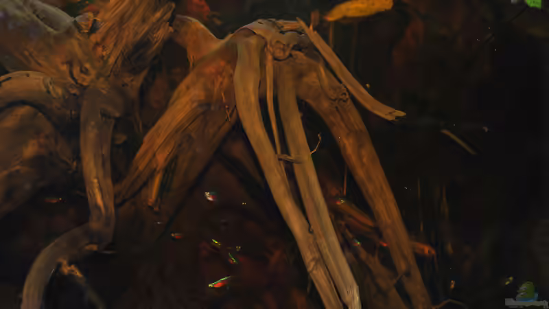 Weiteres Beispiel für das Beckenhauptthema: HOLZ von Alex S (28)