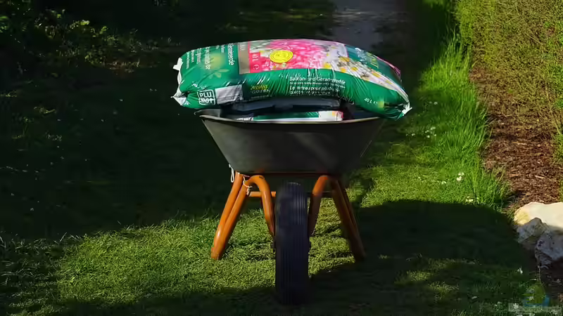 Welche Blumenerde ist die Richtige?