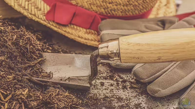 Welche Blumenerde ist die Richtige?