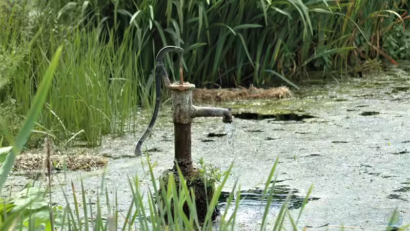 Welche Pumpe passt zu meinem Gartenteich?