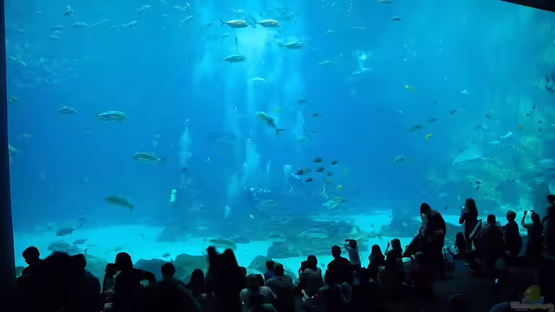 Welcher Zoo hat das schönste Aquarium? - Ein umfassender Vergleich der beeindruckendsten Zoos und Aquarien