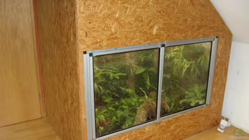 Welches Material ist das beste fürs Terrarium?