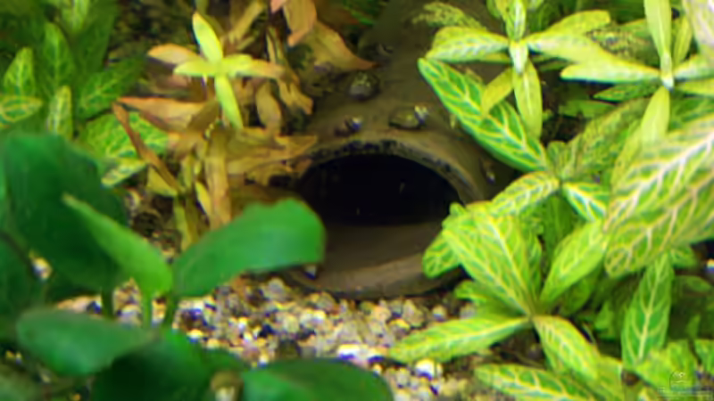 Welshöhle von Dani7 (11)