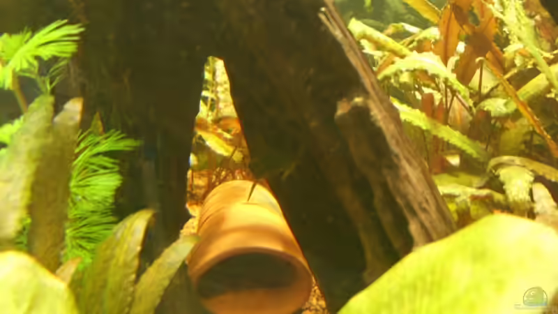 Welshöhle von Oliver Boden (24)