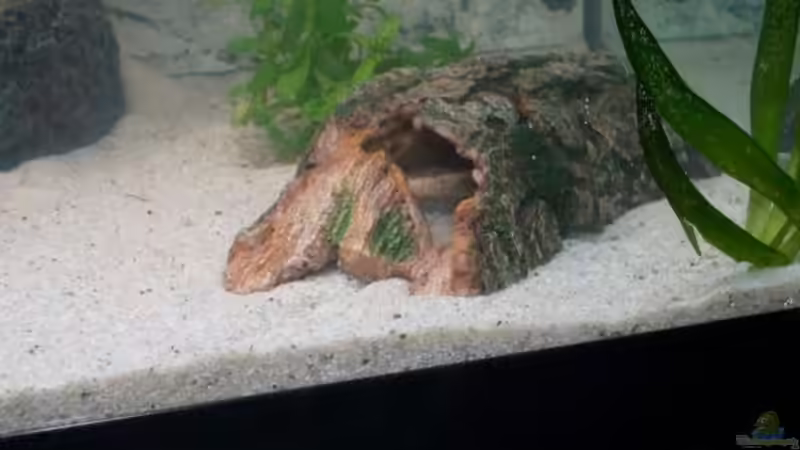 Welshöhle von SaMo (6)