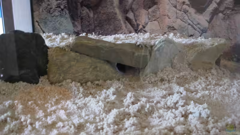 Welshöhle von Thomas Huber (9)