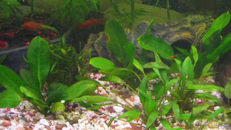 Welshöhle von Vilma Remmert-Fontes (5)