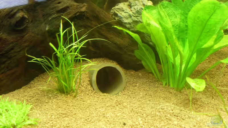 Welshöhlen: Unbedingt unauffällig