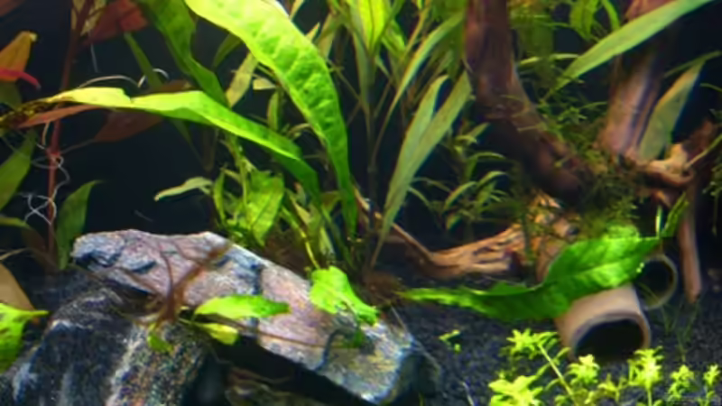 Welshöhlen aus Ton von *angelfish* (22)