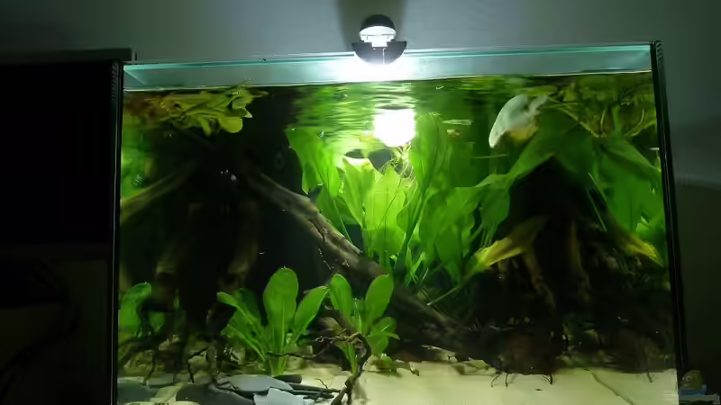 Welshöhlen von JohannesDD (12)