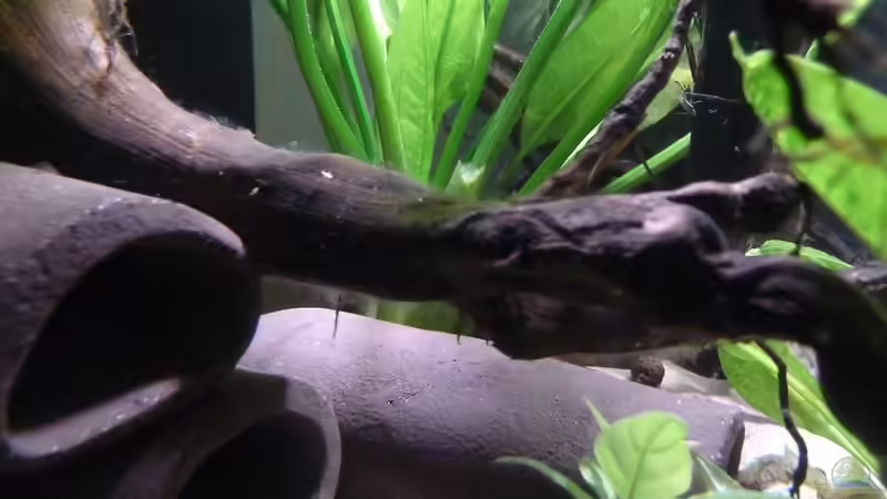 Welshöhlen von JohannesDD (15)