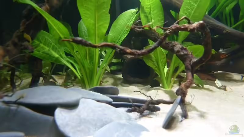 Welshöhlen von JohannesDD (16)