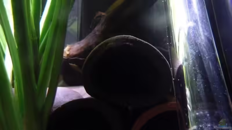 Welshöhlen von JohannesDD (18)