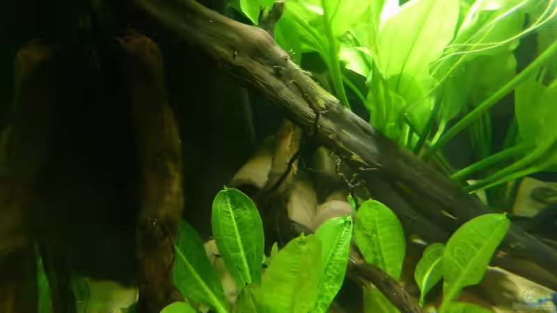 Welshöhlen von JohannesDD (19)