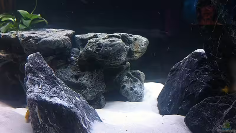 Welsstein im Hintergrund von axxo (14)