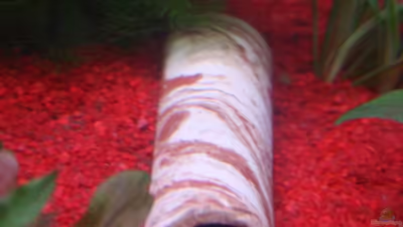 welsversteck von Stefanie Mohr (13)