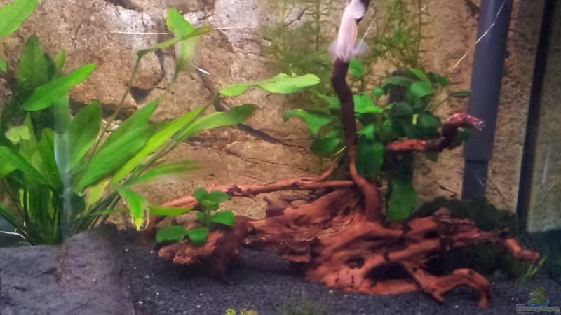 Weniger ist manchmal mehr ;) von Gokel79 (22)