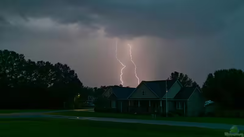 Wenn das Unwetter den Garten trifft