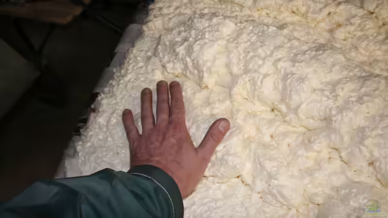 Wenn sich eine feste Haut gebildet hat kann man den Schaum leicht an bestimmten Stellen von @mazonas (32)