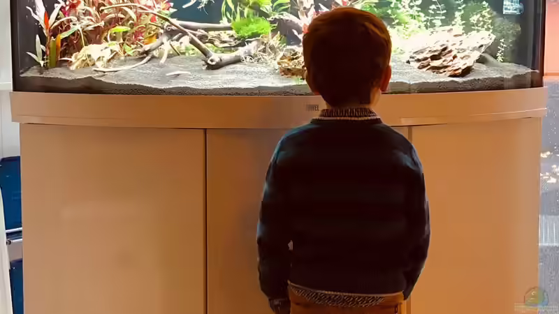 Wer braucht ein Fernsehgerät von Sergio Bandeiras (2)