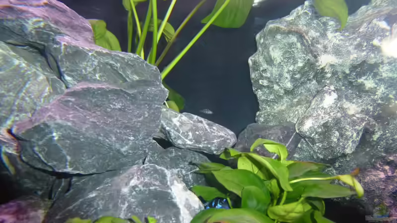 wer findet das Baby? von EvilChicken (39)