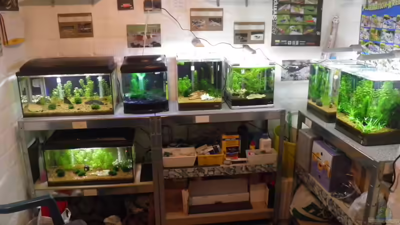 Werden später vorgestellt von Dirk Tomhorst (3)