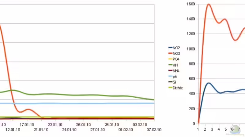 Werte als Grafik von FrischFisch (5)