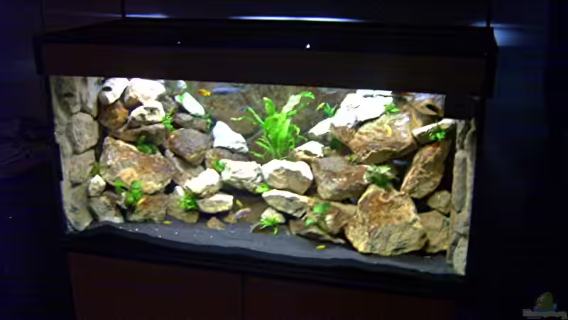 wesentlich mehr Pflanzen jetzt von Robert Dietrich (5)