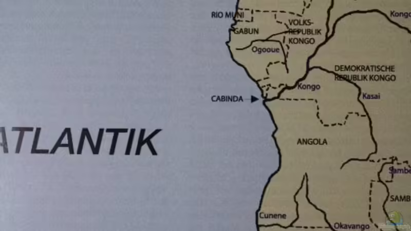 Westafrika Karte! von Florian Bandhauer (53)