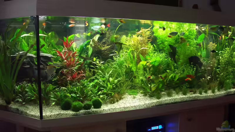 Wetter etwas besser ( Dimmung ca 50% ) von Kai Holdinghausen (2)