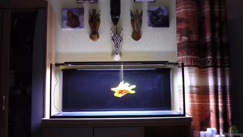 Wie alles begann.............. 06.03.2014 von Red ( Jürgen ) (2)